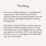 The Love Story Bracelet
