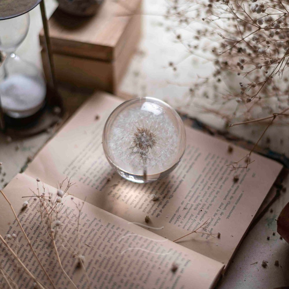 Callisto- Dandelion Paperweight - Real flower Jewellery - Leafy Affair