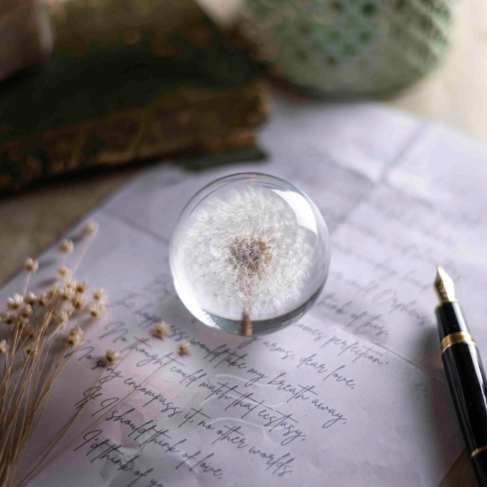 Callisto- Dandelion Paperweight - Real flower Jewellery - Leafy Affair