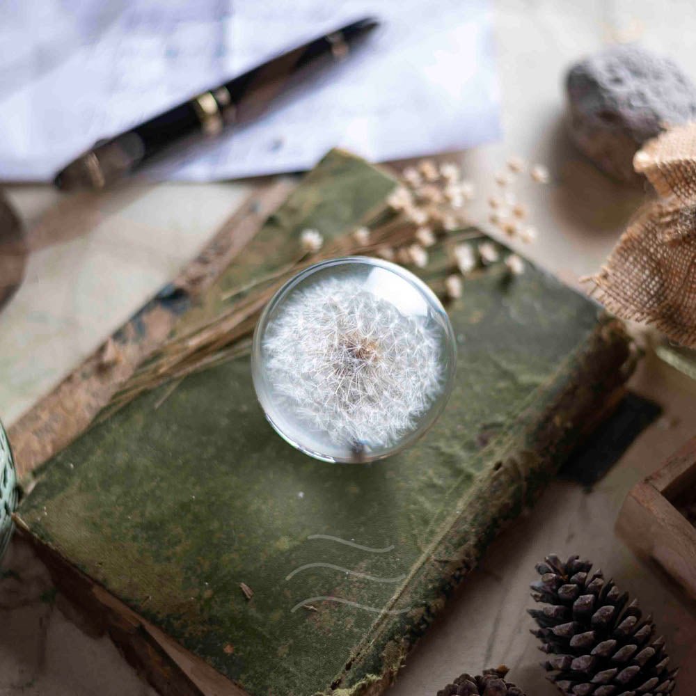 Callisto- Dandelion Paperweight - Real flower Jewellery - Leafy Affair
