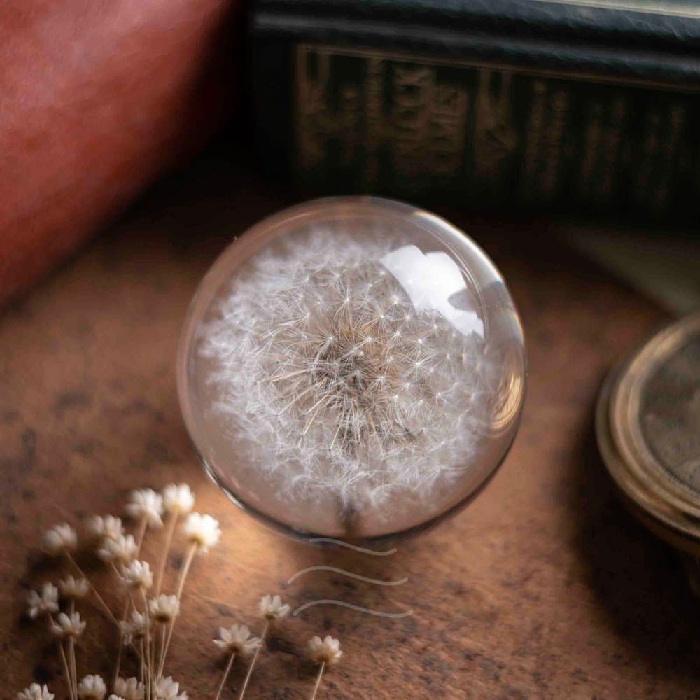 Callisto- Dandelion Paperweight - Real flower Jewellery - Leafy Affair