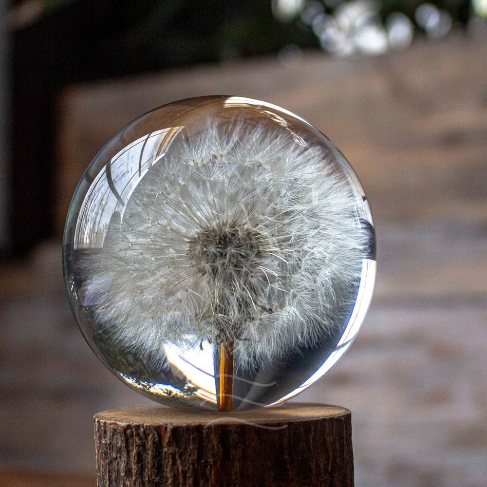 Callisto- Dandelion Paperweight - Real flower Jewellery - Leafy Affair