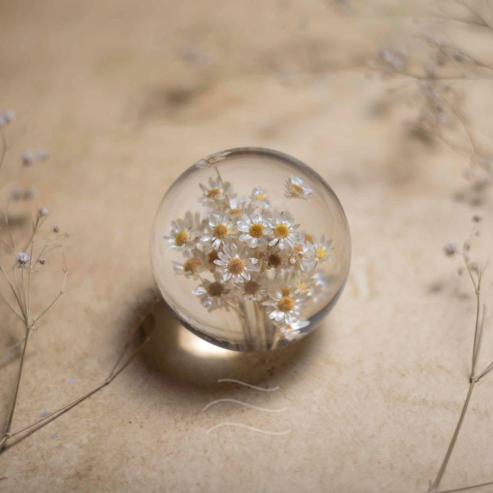 New Beginnings Paperweight - Real flower Jewellery - Leafy Affair
