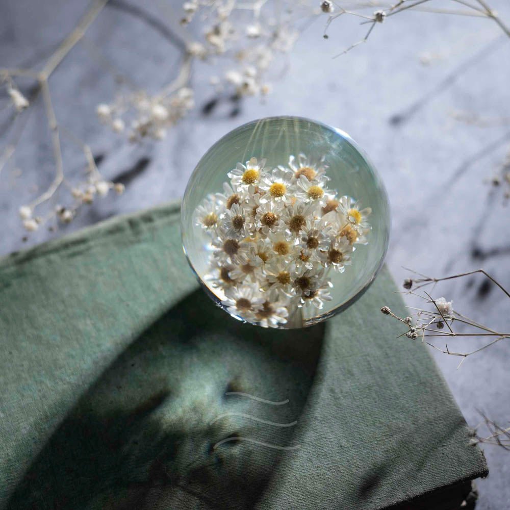 New Beginnings Paperweight - Real flower Jewellery - Leafy Affair