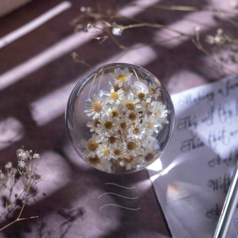 New Beginnings Paperweight - Real flower Jewellery - Leafy Affair