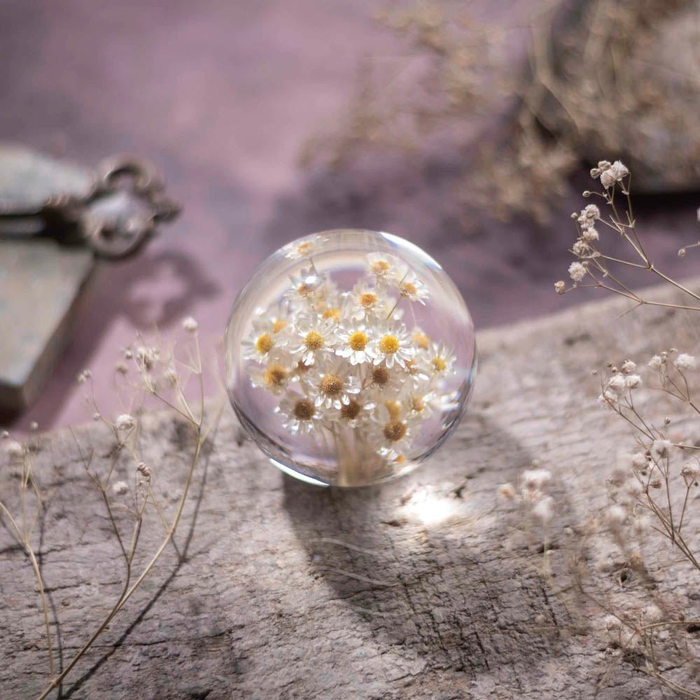 New Beginnings Paperweight - Real flower Jewellery - Leafy Affair