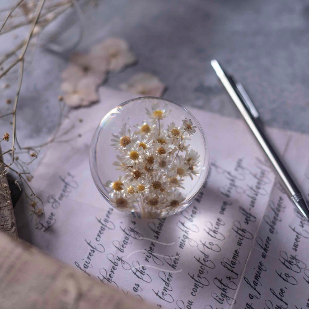 New Beginnings Paperweight - Real flower Jewellery - Leafy Affair