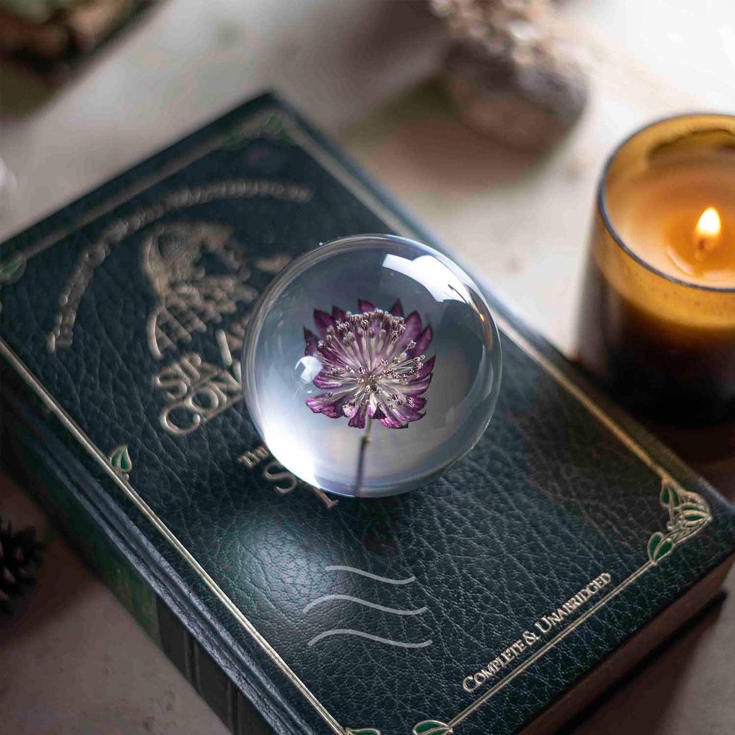 Floral Firework Paperweight - Real flower Jewellery - Leafy Affair