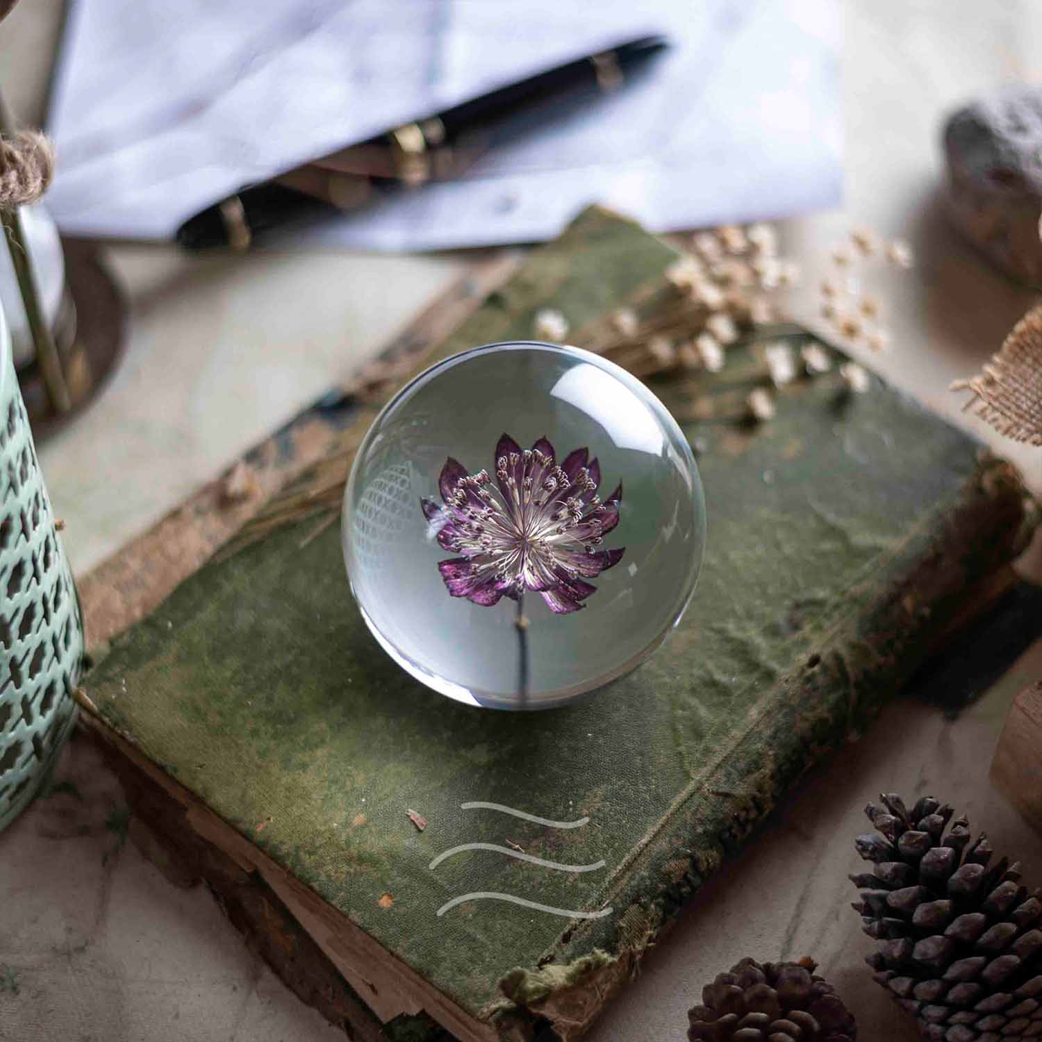 Floral Firework Paperweight - Real flower Jewellery - Leafy Affair
