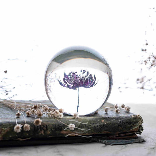 Floral Firework Paperweight - Real flower Jewellery - Leafy Affair