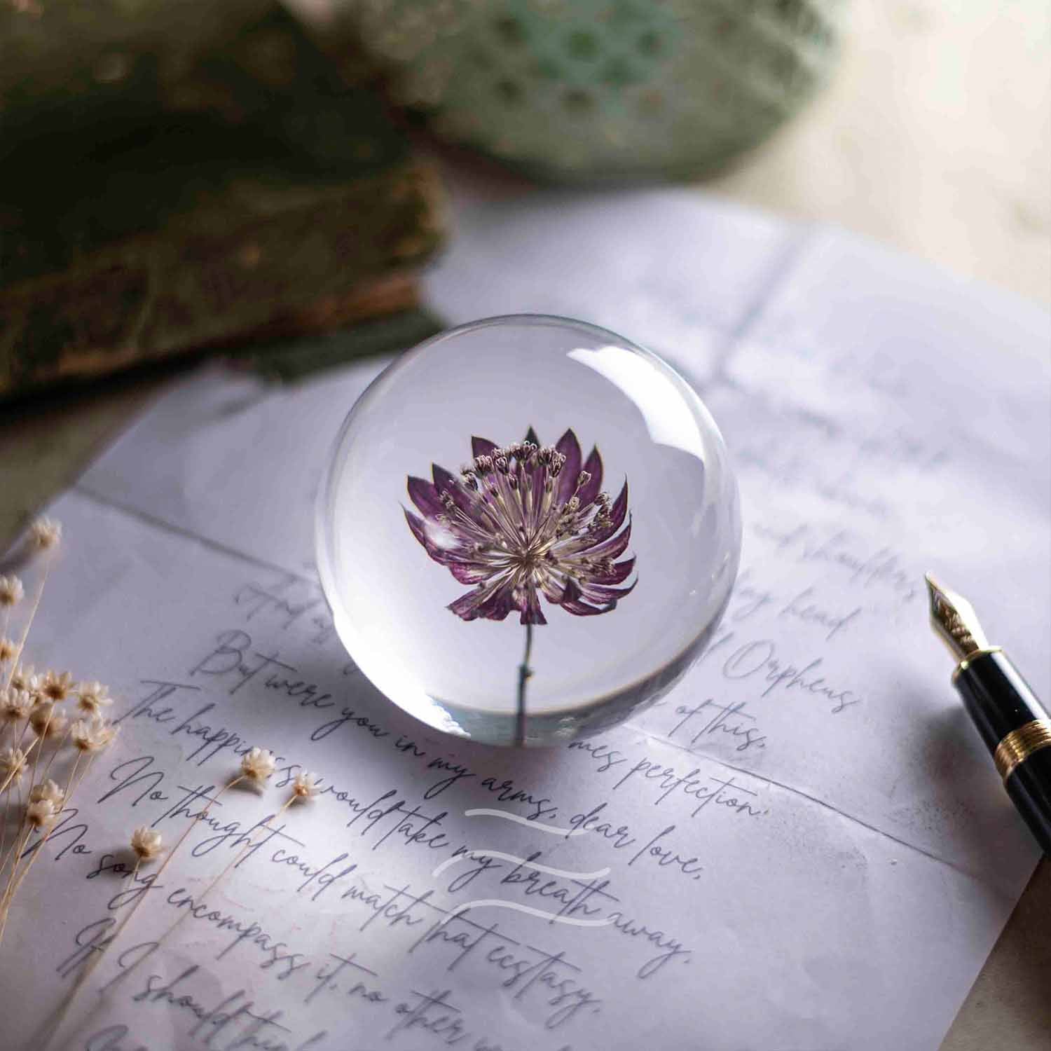 Floral Firework Paperweight - Real flower Jewellery - Leafy Affair