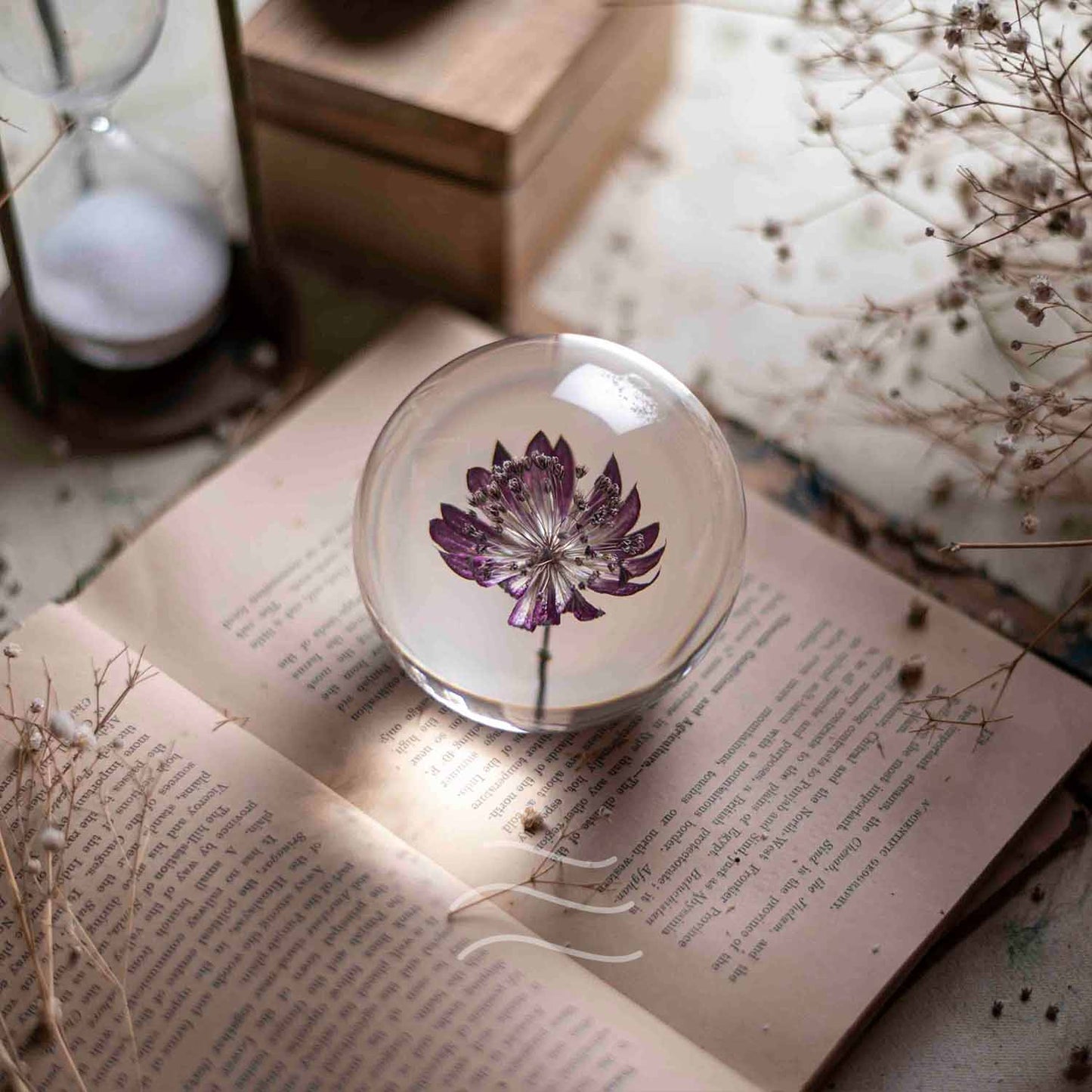 Floral Firework Paperweight - Real flower Jewellery - Leafy Affair