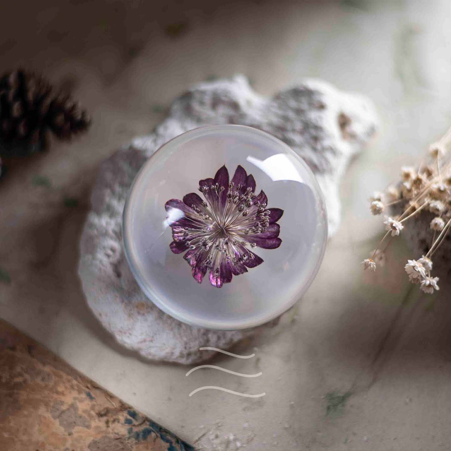 Floral Firework Paperweight - Real flower Jewellery - Leafy Affair