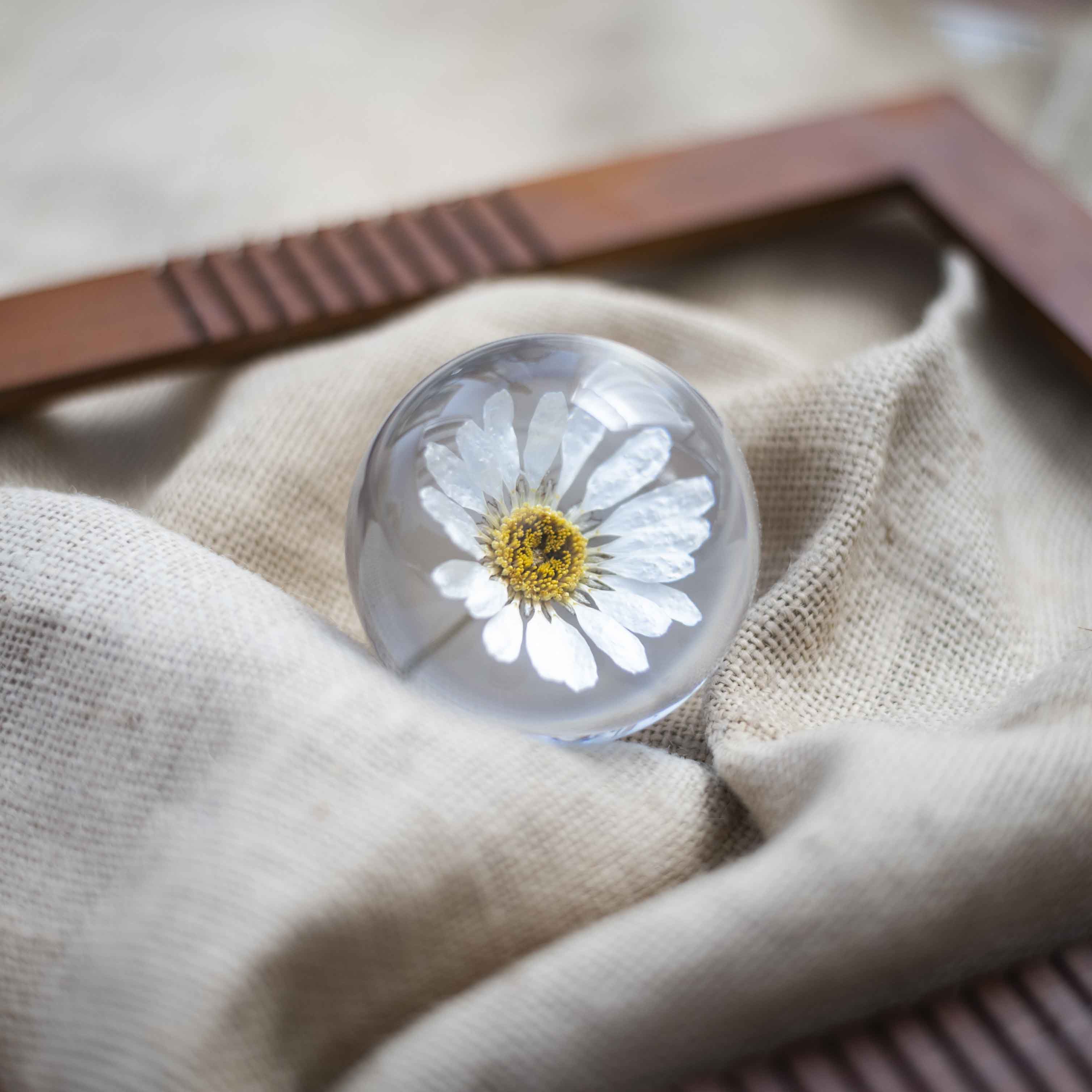 buy dandelion paperweight, small home decor items, floral stationery for gift, buy glass paperweight