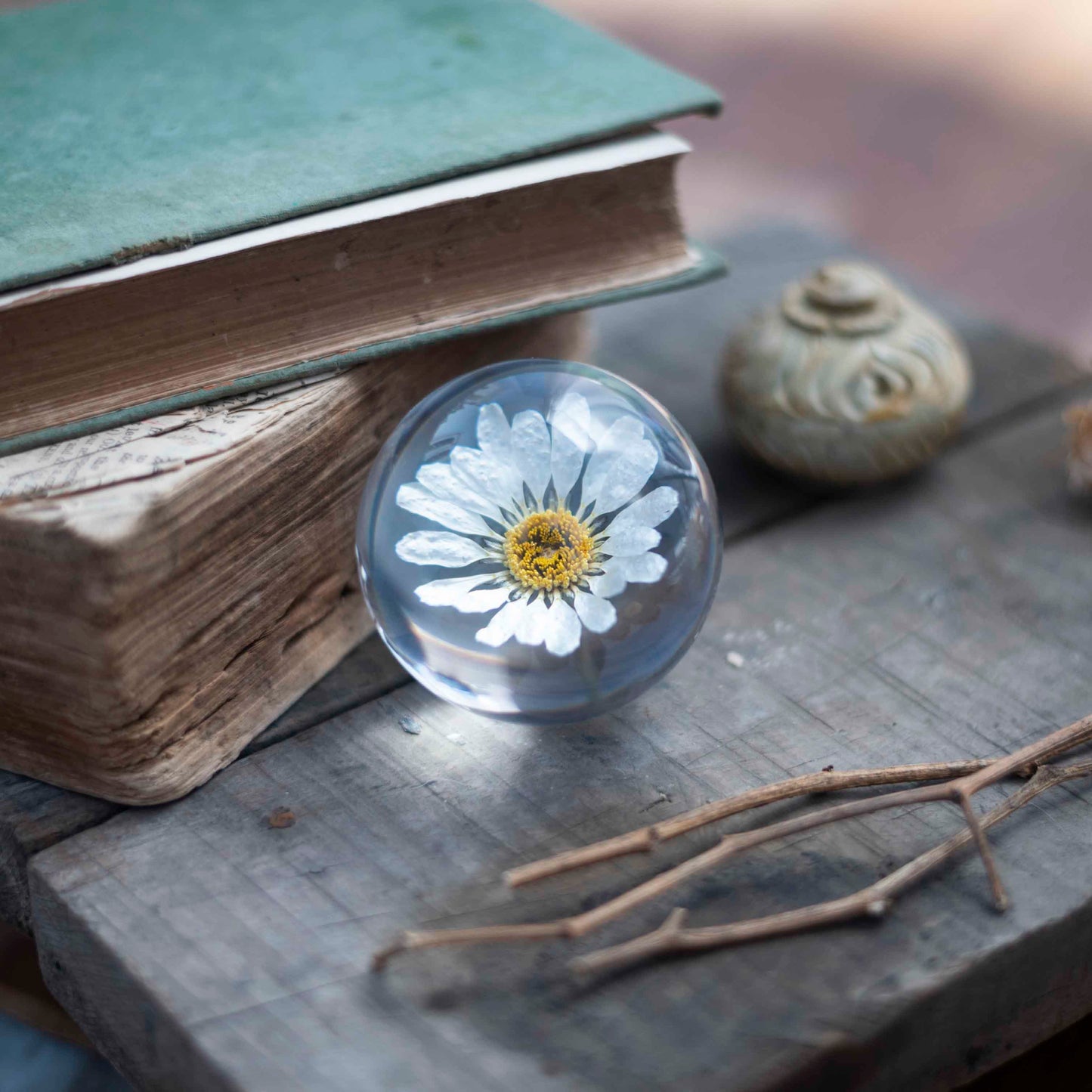 Freya's Daisy Paperweight - Real flower Jewellery - Leafy Affair
