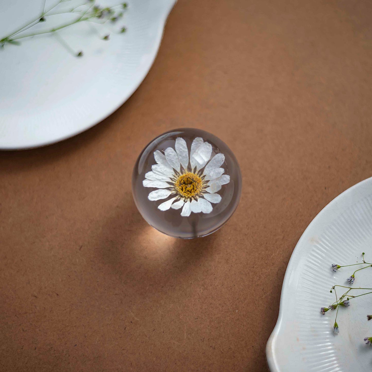 Freya's Daisy Paperweight - Real flower Jewellery - Leafy Affair