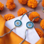 Aster Flower Rakhi