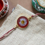 Aster Flower Rakhi